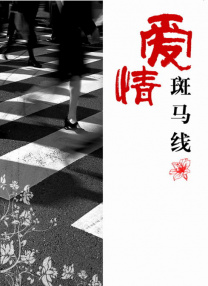 91精品一区二区三区在线观看